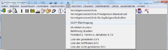 einlieferung-vermoegensauskunft-002